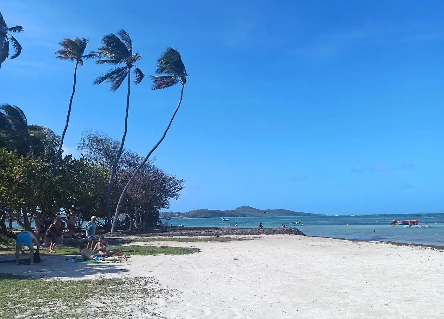 Lägenhet Appartement Alize Vue Imprenable Sur La Mer Sainte-Luce Martinique