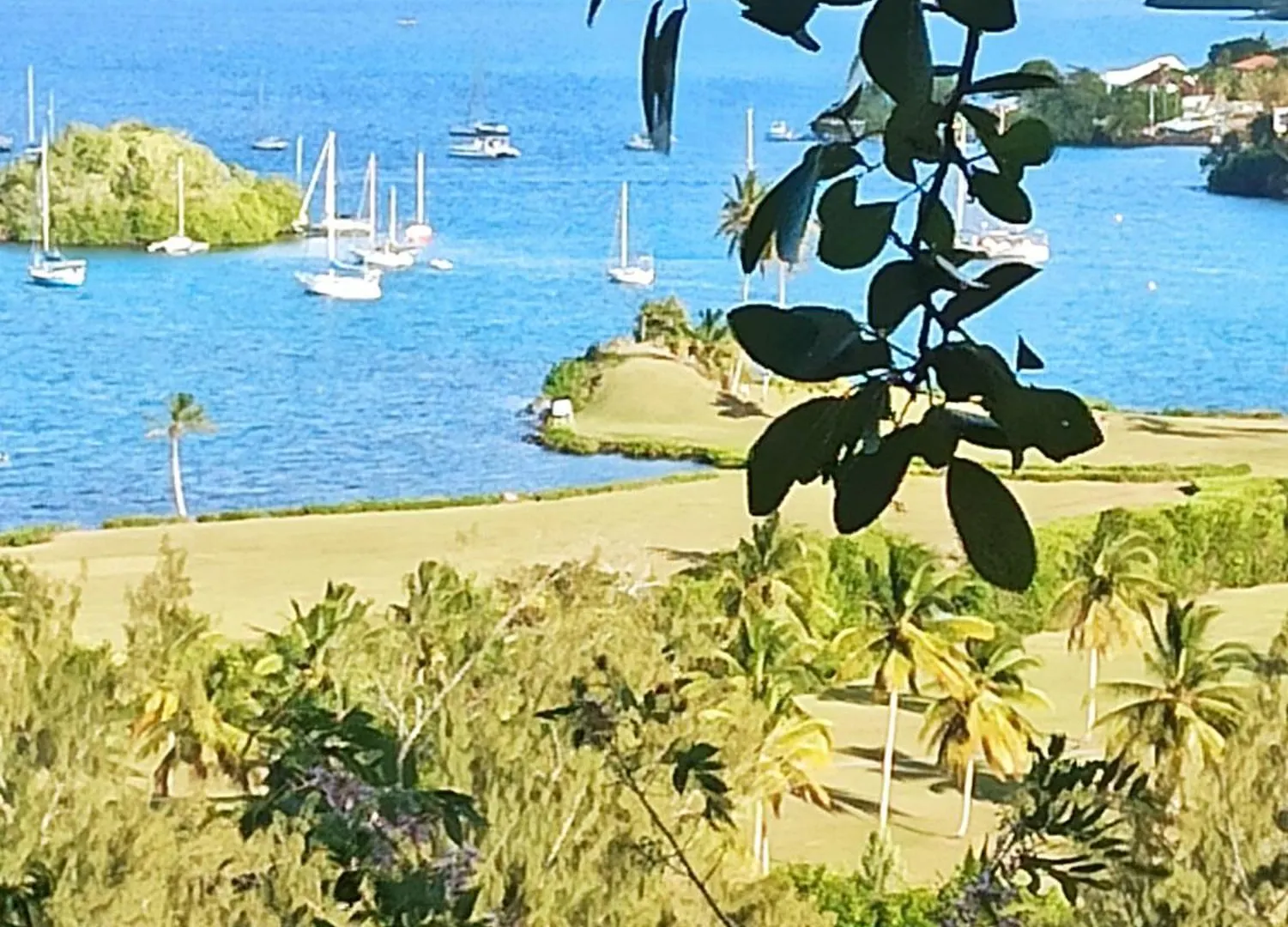 Appartement Alize Vue Imprenable Sur La Mer Sainte-Luce